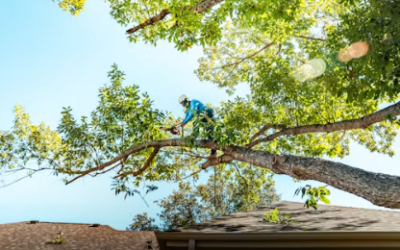 Why Tree Work Is Won and Lost on the Phone